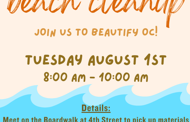 Ocean City Community Cleanup