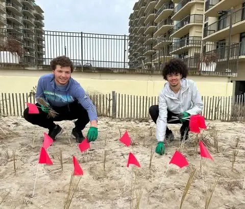 Volunteers Plant Over 3,300 Dune Grasses