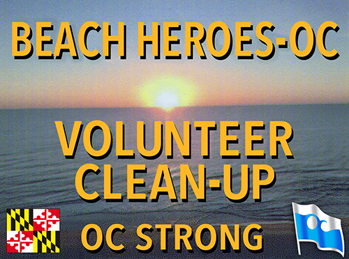 Beach Heroes - OC